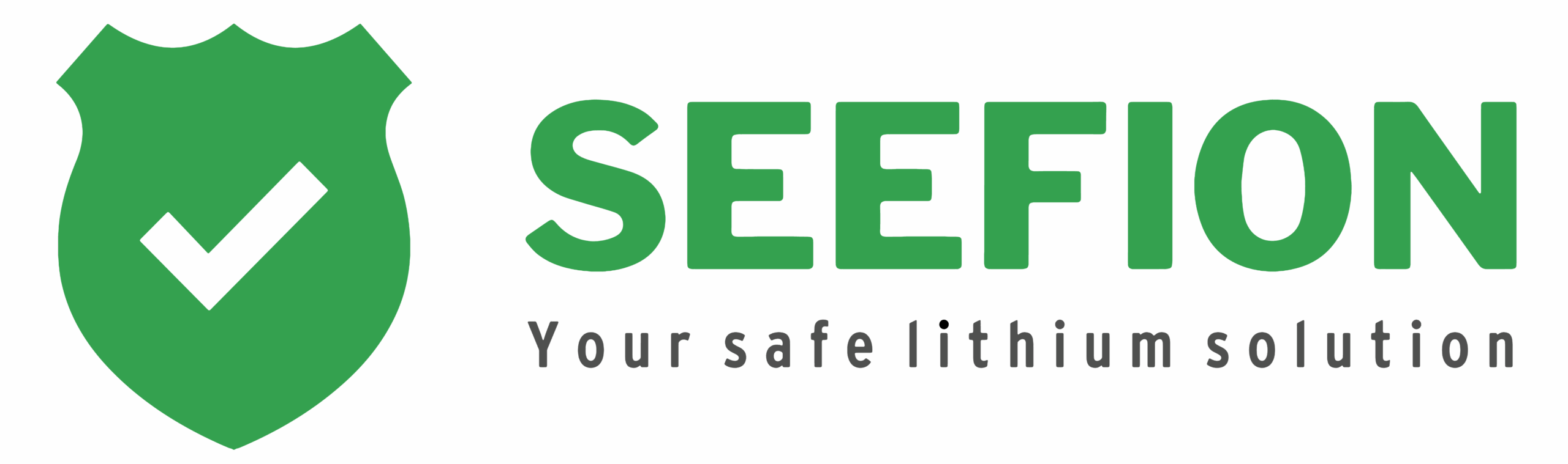 seefion logo dfkids